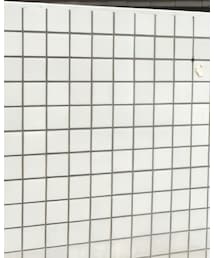 五大陸 | ネクタイ