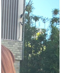 竹屋敷 | アクセサリー