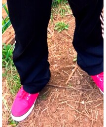 Dickies | スニーカー