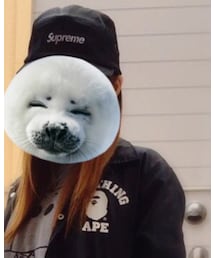 Supreme  | キャップ