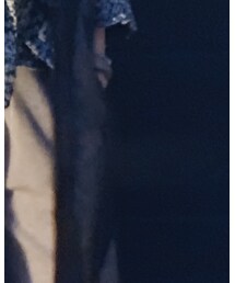 ZARA BASIC | ベスト