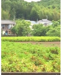 BEAUTY&YOUTH UNITED ARROWS | シャツ/ブラウス