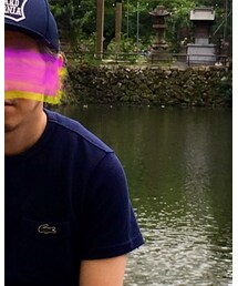 LACOSTE | Tシャツ/カットソー