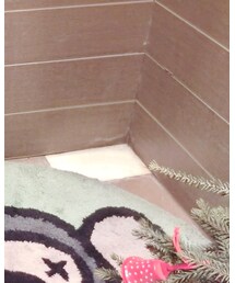 zoewowkids | Tシャツ/カットソー