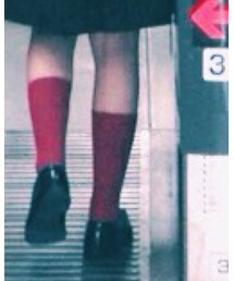 靴下屋 | ソックス/靴下