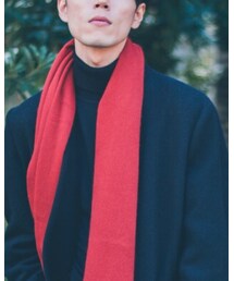 ADAM ET ROPE' | マフラー