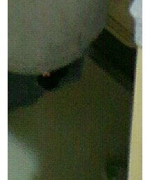 GLOBAL WORK | パンツ