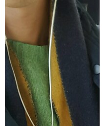 POLO RALPH LAUREN | マフラー