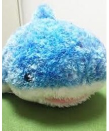 アオコ | おもちゃ