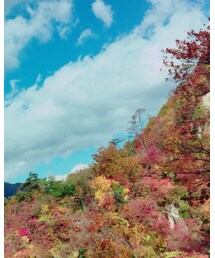 紅葉🍁 | その他