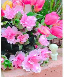 スミスキー😇 | 見つけてみてください✨(フィギュア)