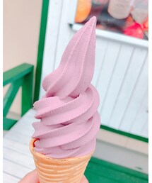 ﾌﾞﾙｰﾍﾞﾘｰｿﾌﾄｸﾘｰﾑ🍦 | 美味しかった🍦✨(食器/キッチン)