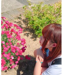 ver.2📷 | 花とぱしゃり🌸(その他)