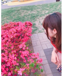 ver.2📷 | 赤いツツジの花言葉は【恋の喜び】🌸(その他)