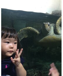 海きらら | その他