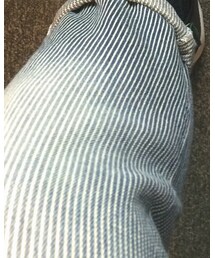 GU | デニムパンツ