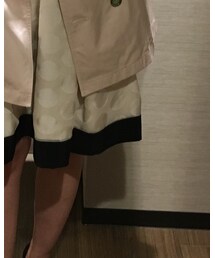 DOLLY GIRL BY ANNA SUI | スカート