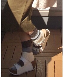 靴下屋 | ソックス/靴下