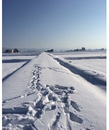 ホワイトXmas🎄 | その他