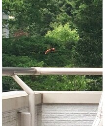 ❗️❗️❗️ | フィギュア