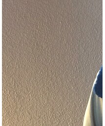 Fjallraven Kanken | バックパック/リュック