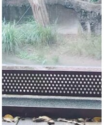 H&M | その他パンツ