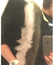 UNITED TOKYO | マフラー