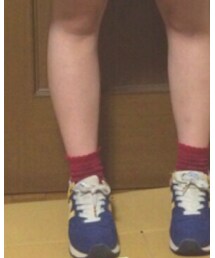 靴下屋 | ソックス/靴下