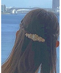 Lattice | ブローチ/コサージュ