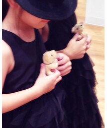 お気に入りワンちゃん | フィギュア