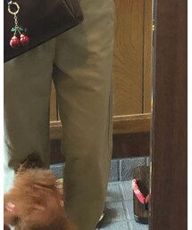 Dickies | チノパンツ