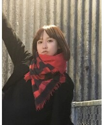 didizizi | マフラー