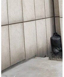 MOUSSY | チノパンツ