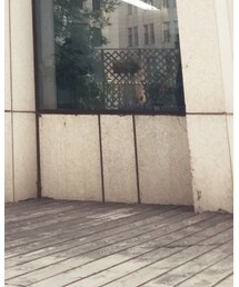 MOUSSY | チノパンツ