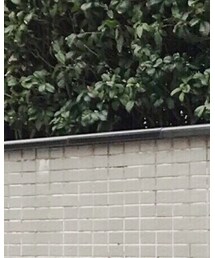 MOUSSY | ニット/セーター