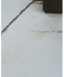 MOUSSY | ブーティ