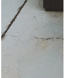 MOUSSY | スニーカー