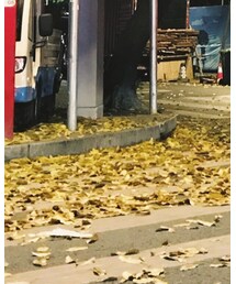 STELLA McCARTNEY | ショルダーバッグ