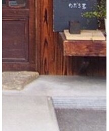 靴下屋 | ソックス/靴下