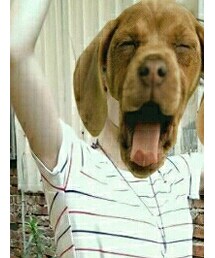 agnesb | アクセサリー