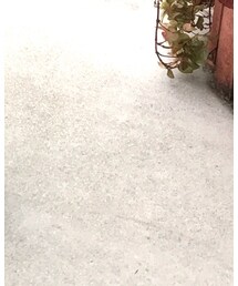 Reebok | スニーカー