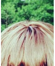 ヅラじゃないカツラだ | その他