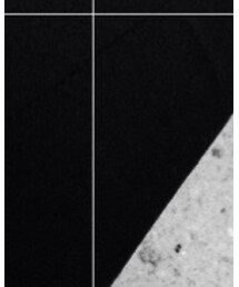 TOPSHOP | スラックス