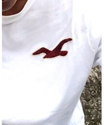 Hollister | Tシャツ/カットソー