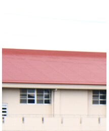 DANTON | ジャケット/アウター