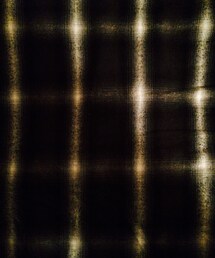 Lui's | シャドーチェックシャツ(シャツ/ブラウス)