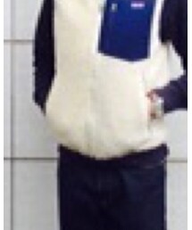 patagonia | ベスト