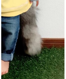 no brand | チャーム