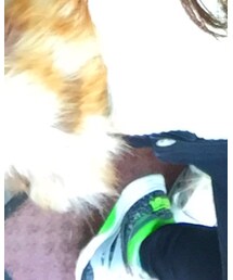 Reebok | スニーカー