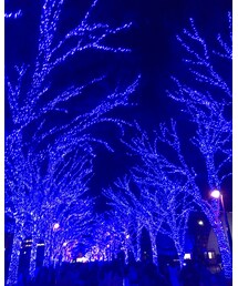 青の洞窟 | その他